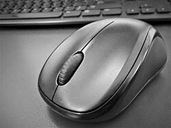 Mouse